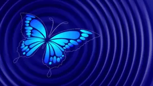 What is the Butterfly Effect? What is the Butterfly Effect?